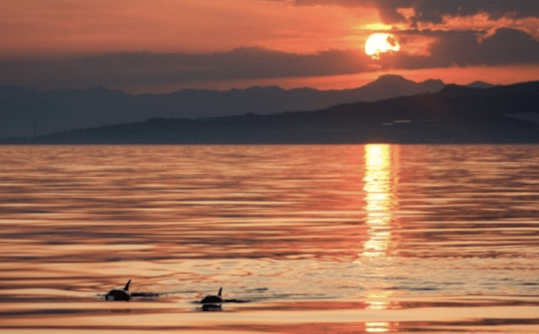 Virtue of the Week – Humility